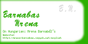 barnabas mrena business card